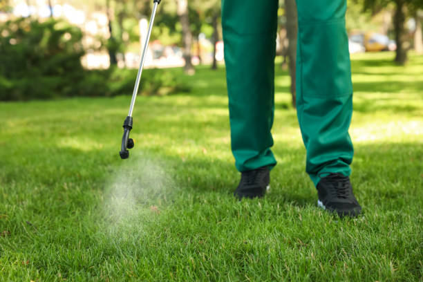 Best Cockroach Control Services  in Oak Hills, CA