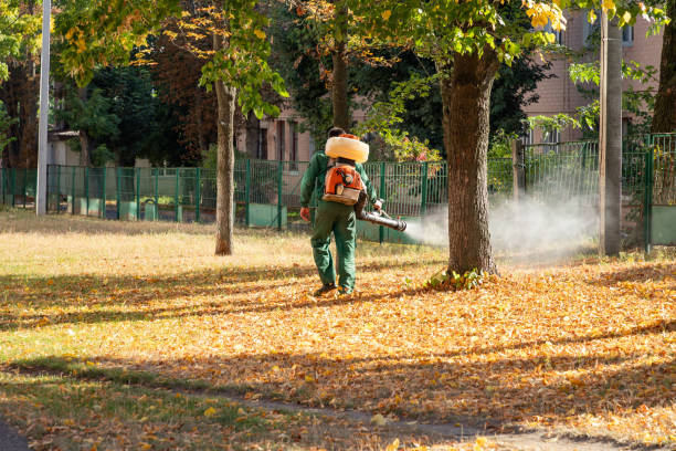 Best Mosquito Control Services  in Oak Hills, CA